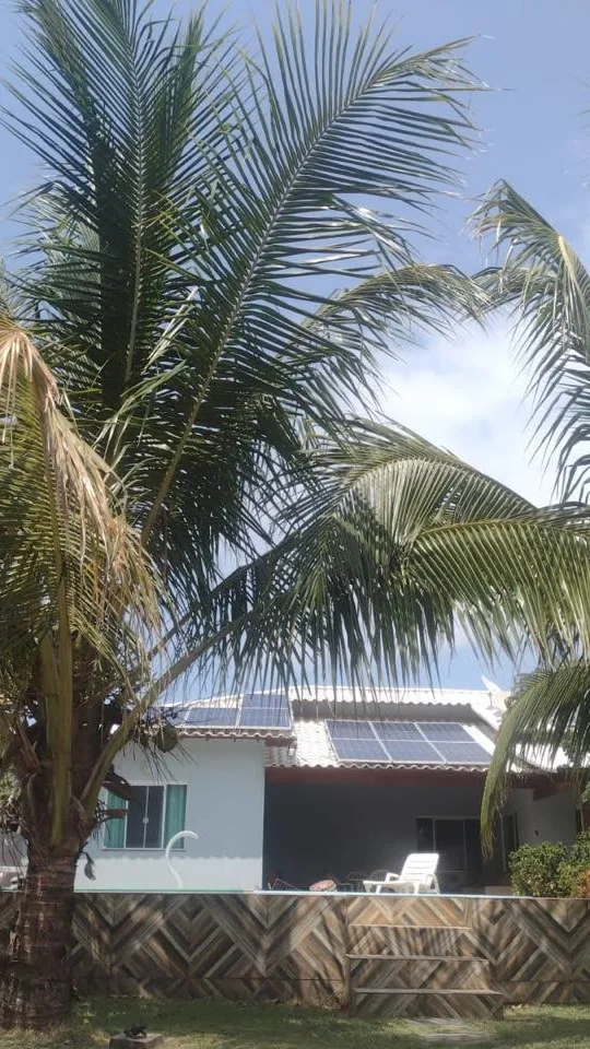 Palmeiras da Casa de Praia Saquarema
